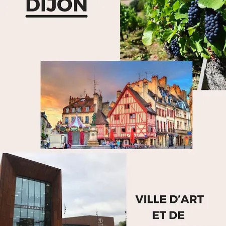 Maisons Calmes Avec Terrasses Et Garages Centre-ville B Et C ديجون