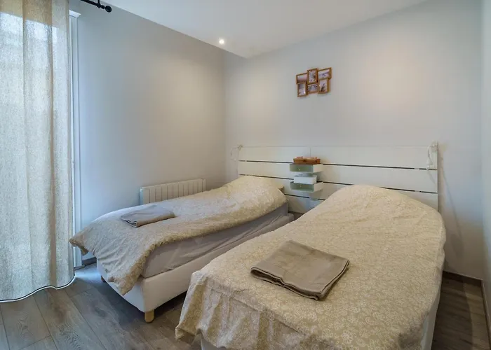 Maisons Calmes Avec Terrasses Et Garages Centre-ville B Et C Dijon